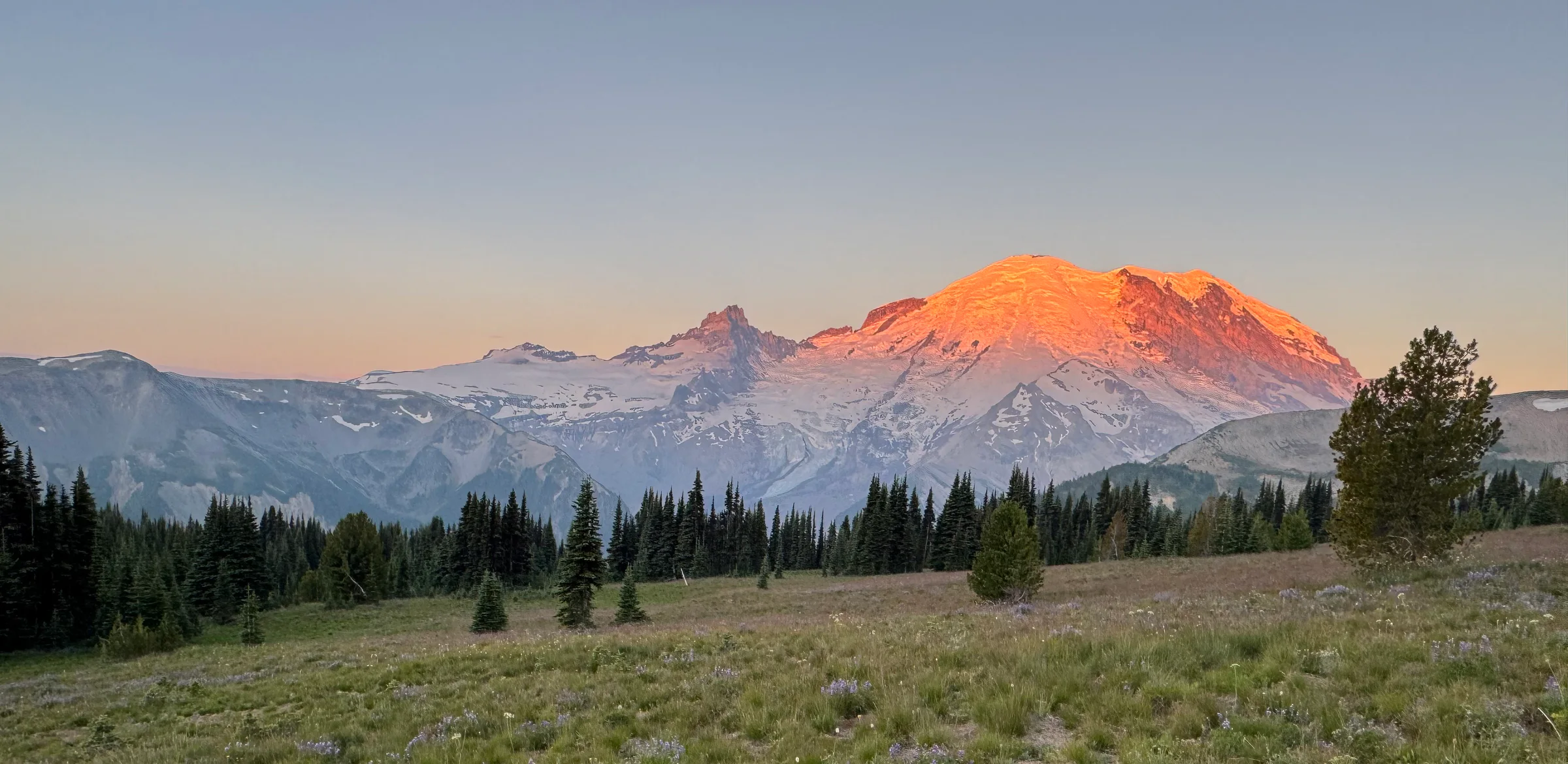 Mount Rainier glowing at sunset above an alpine meadow